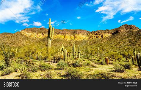 Semi Desert Landscape Image & Photo (Free Trial) | Bigstock