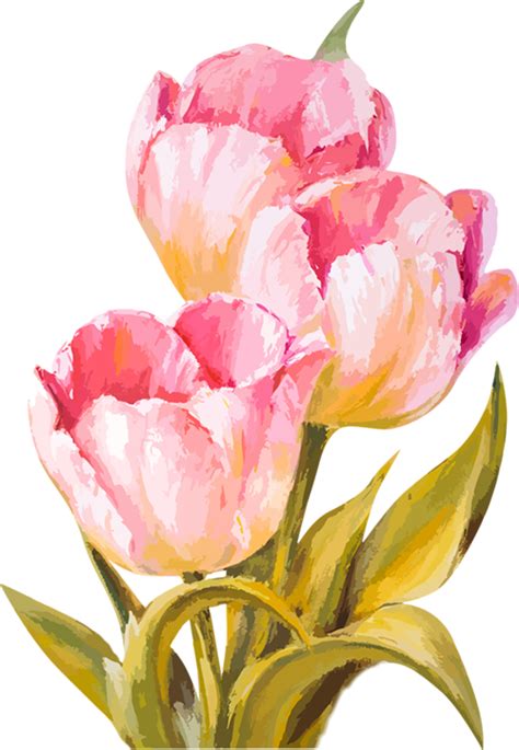 Blog de l'ile de kahlan | Watercolor tulips, Tulips art, Watercolor ...