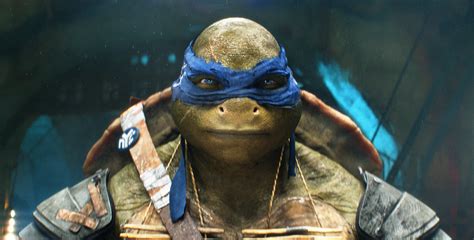 teenage mutant ninja turtles 2014 - Michelle Jackson