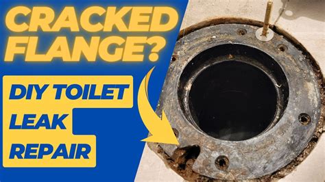 How to Repair a Leaking Toilet and Broken Flange - DIY Guide with Oatey ...