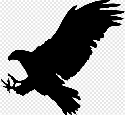 Free download | Bald Eagle Bird Silhouette, Hawk, animals, monochrome ...