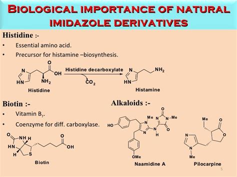 Imidazole Derivatives Biological Activity And Synthetic Approaches