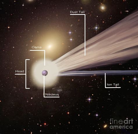 Comet With Parts Labeled Photograph by Spencer Sutton - Pixels