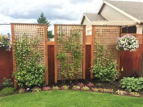 Awasome Fence Trellis Ideas For Privacy References