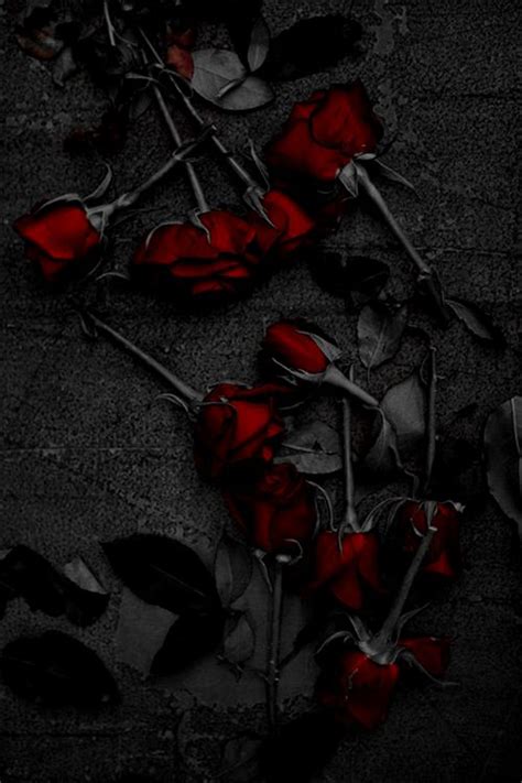 Gothic Roses Wallpaper - WallpaperSafari