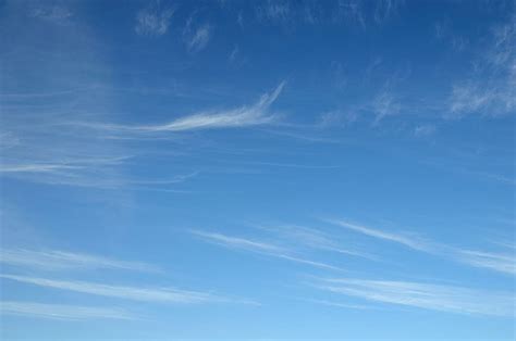 HD wallpaper: sky covered with cirrus clouds, blue, background, white ...