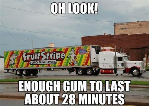 Fruit Stripe Gum - Meme Guy