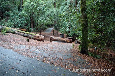 Portola Redwoods State Park - Campsite Photos, Campsite Availability