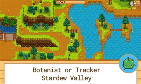 Botanist or Tracker Stardew Valley: The Best Foraging Profession - SDew HQ