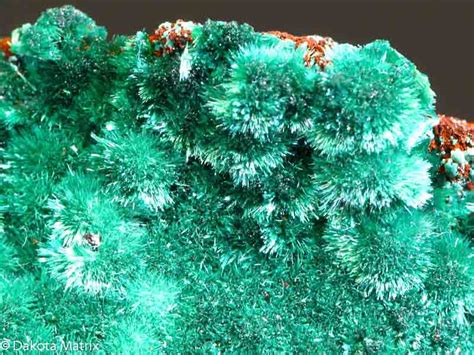 MALACHITE Mineral Specimen For Sale