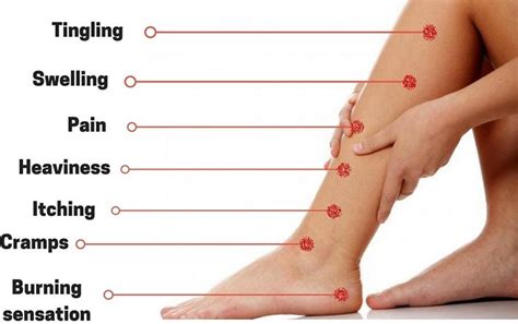 Signs and Symptoms Of Varicose Veins | Surekha Varicose Veins Clinic ...