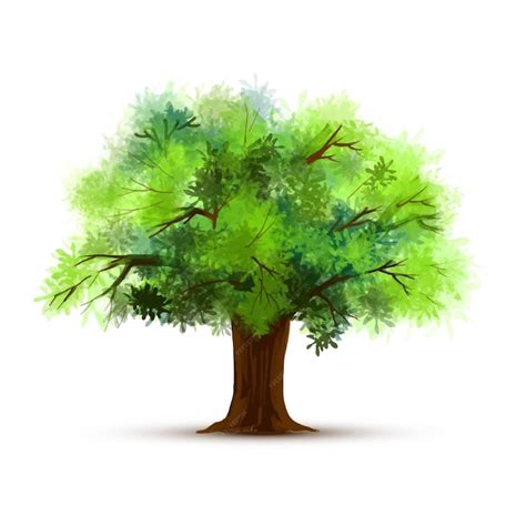 Free Vector | Painting a green tree isolated design