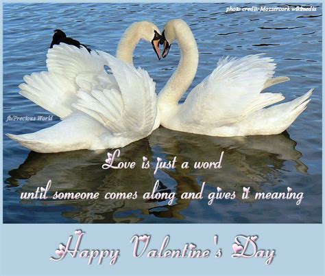 Beautiful Swan Quotes - ShortQuotes.cc