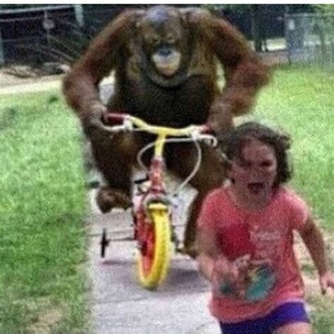 "monkey" Meme Templates - Imgflip