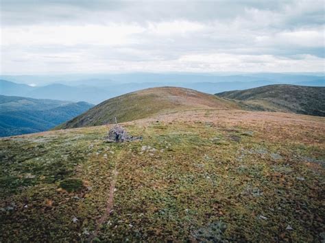 Mount Bogong Hike: Walking to Victoria's Highest Peak - Beyond Wild Places