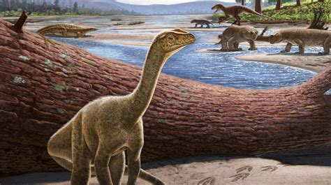 Dinosaurio más antiguo de África es encontrado en el norte de Zimbabue