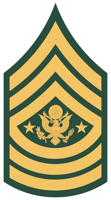 Regimental Sergeant Major Insignia