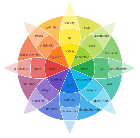 The Emotion Wheel: Primary Emotions, Benefits & How To Use It!