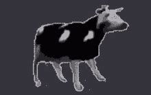 Dancing Cow Meme Gif Transparent