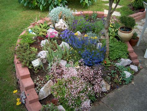 Rockery | Garden inspiration, Plants, Garden