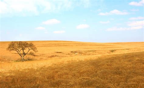 Tallgrass Prairie Preserve in the Flint Hills of Kansas, walk trails ...