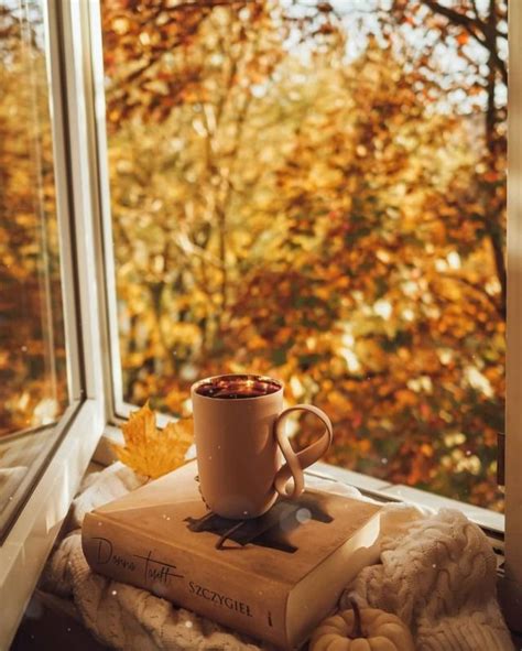 Autumn Cozy | Autumn morning, Autumn cozy, Autumn coffee