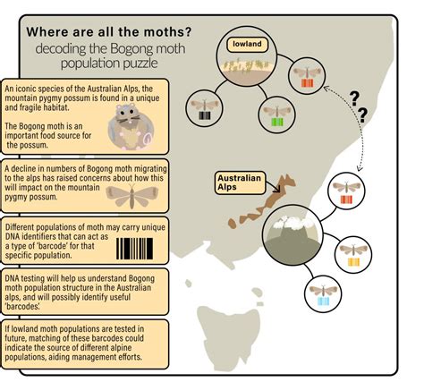 Last stop – the mountain pygmy possum dinner plate: uncovering the ...