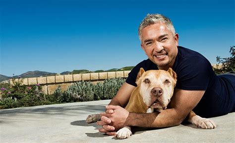 TV star and dog trainer Cesar Millan is a strong defender of Pit Bulls ...