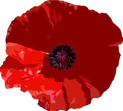 poppy - Burgess Hill Town Council