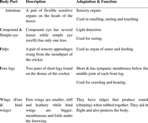 Cricket Body parts, Adaptations and Functions | Download Scientific Diagram