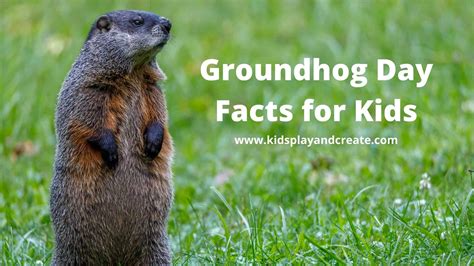 Groundhog Facts for Kids Groundhog's Day Facts with Free Printable ...