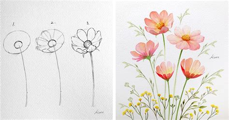 Flower Pictures To Draw