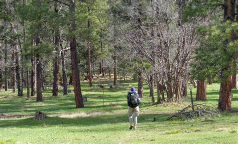 Arizona Trail – Doing Miles