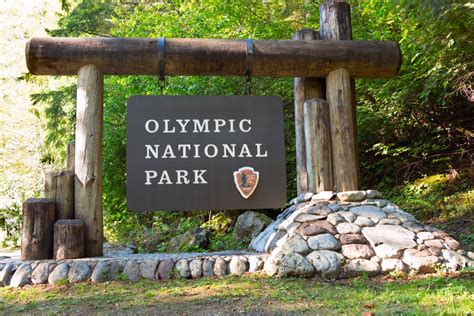 Olympic National Forest: Your Best Guide for 2023