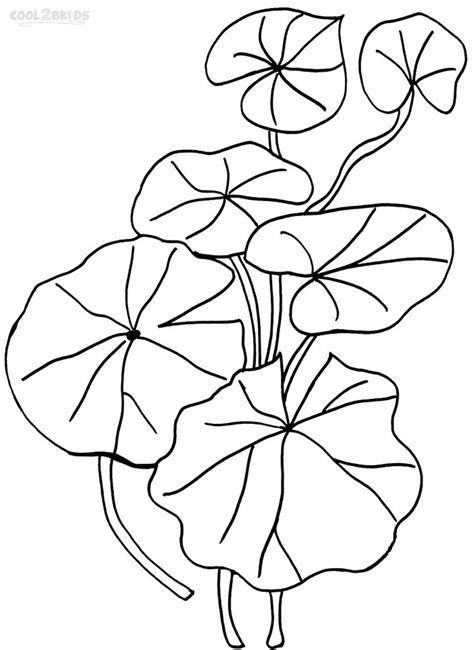 Printable Lily Pad Coloring Pages For Kids