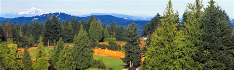 Vancouver Island Golf Courses - Arbutus Ridge Golf Club