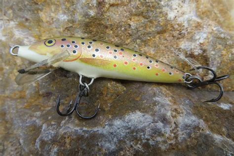 The 10 Best Trout Lures for Rivers and Streams – Tilt Fishing