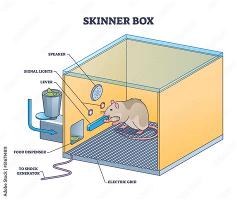 Skinner box or operant conditioning chamber experiment outline diagram ...