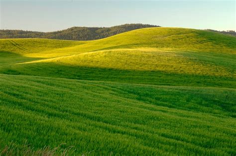 farm located Moscow, Idaho July | Free Photo - rawpixel