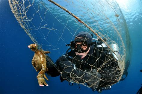 Ghost Nets, among the greatest killers in our oceans... - Mission Blue