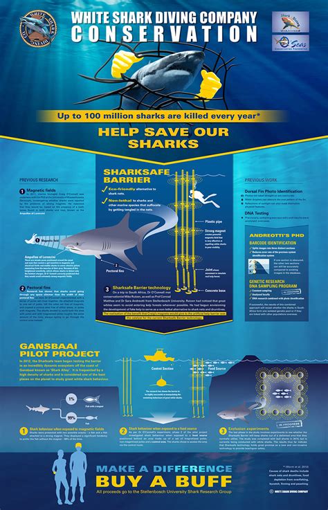 Great White Shark Conservation South Africa | Shark Infographic