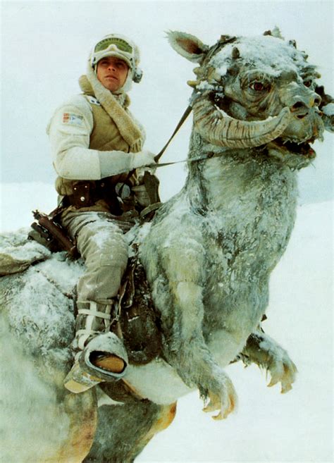 Tauntaun | Star wars empire, Star wars episodes, Star wars pictures