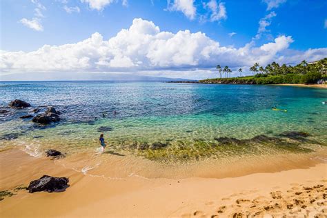 Information for Kapalua Bay Beach in Northwest Maui