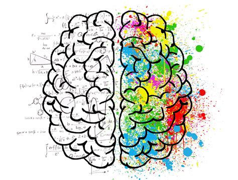 The creative-right vs analytical-left brain myth: debunked! - Dr Sarah ...