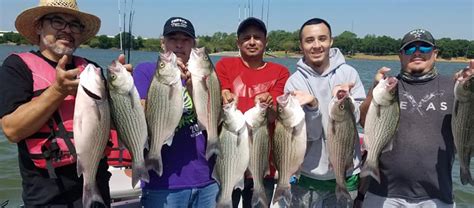 Lake Lewisville Hybrid Striper Fishing | Guide Wes Campbell