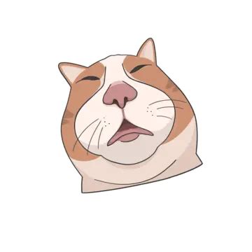 Cat Flat Mouth Meme Template - Infoupdate.org