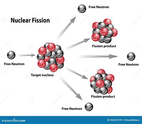 Nuclear Fission And Fusion Diagram