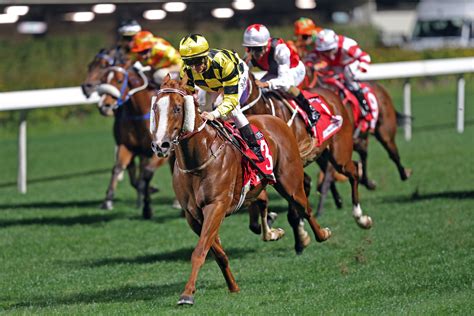 Spotlight back on Hong Kong’s stars for a major Sha Tin Sunday | HKJC ...