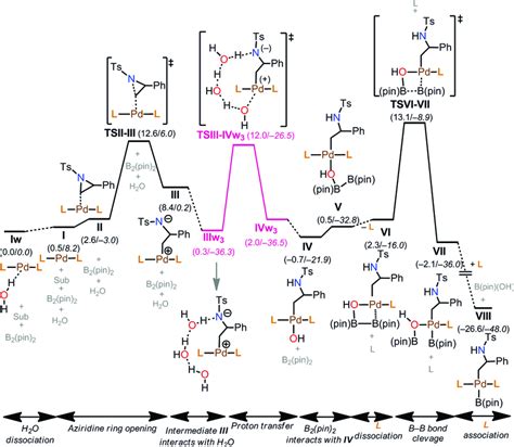 Free energy profile for the reaction mechanism (aziridine ring opening ...