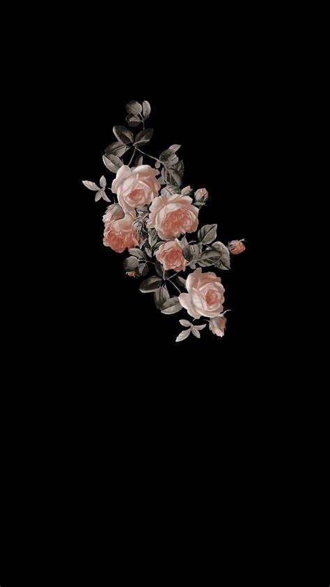 Aesthetic flower, black, princesses, white, world, HD phone wallpaper ...